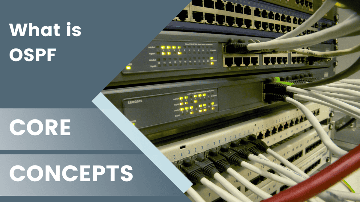 What is OSPF? A Complete Guide to Open Shortest Path First Protocol